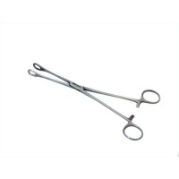 Over / Forester Pensi